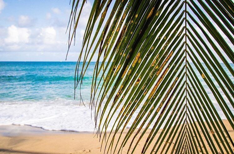 Caribbean Villa Martinique